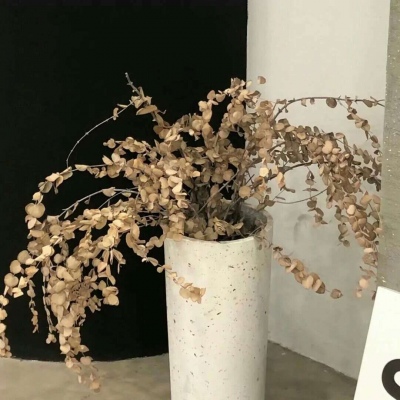 郯城福瑞交流群